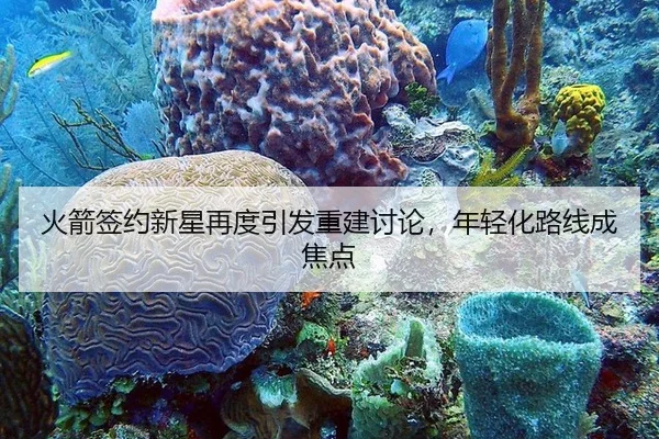 火箭签约新星再度引发重建讨论，年轻化路线成焦点